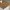 Black Walnut Laminate Worktop